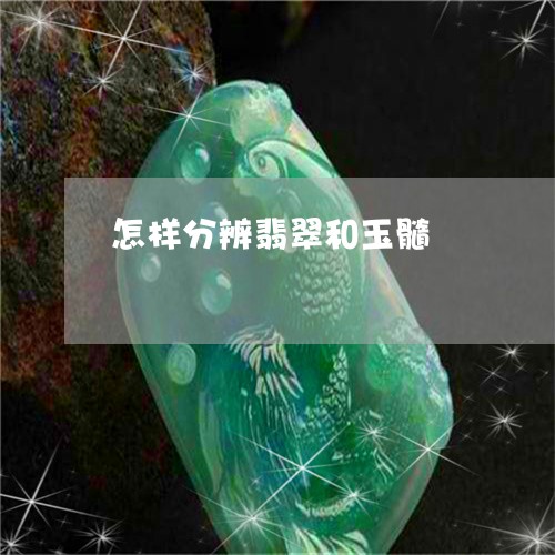 怎样分辨翡翠和玉髓