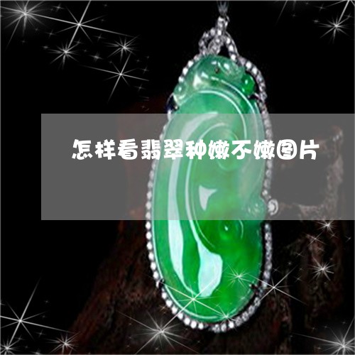 怎样看翡翠种嫩不嫩图片/2023061815271