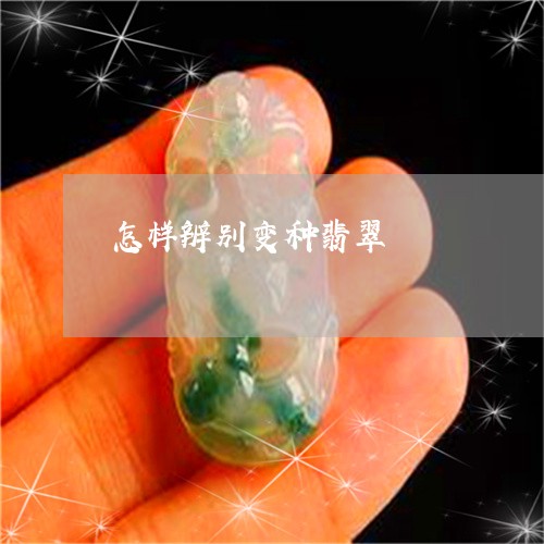 怎样辨别变种翡翠/2023061546269