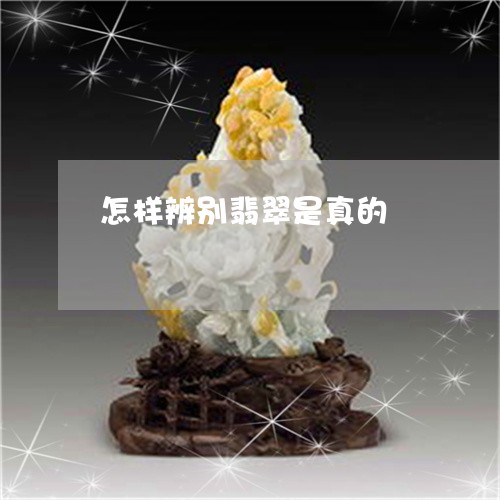 怎样辨别翡翠是真的