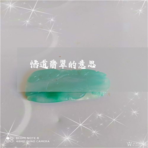 悟道翡翠的意思/2023040284726 悟道翡翠的意思/2023040284726