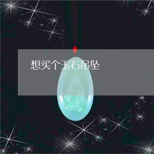 想买个玉石吊坠/2023040241404 想买个玉石吊坠/2023040241404