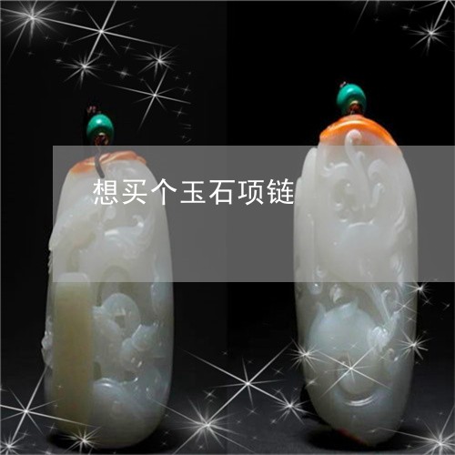 想买个玉石项链/2023040251512 想买个玉石项链/2023040251512