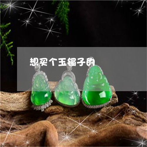 想买个玉镯子的/2023040282835 想买个玉镯子的/2023040282835