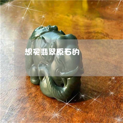 想买翡翠原石的/2023040294815 想买翡翠原石的/2023040294815