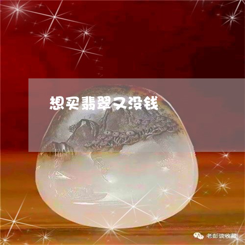 想买翡翠又没钱/2023040252371 想买翡翠又没钱/2023040252371