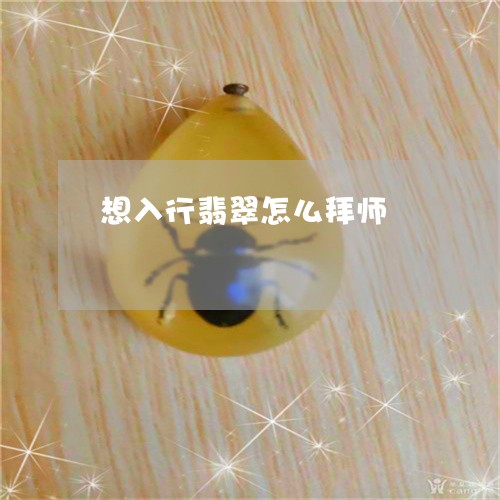 想入行翡翠怎么拜师