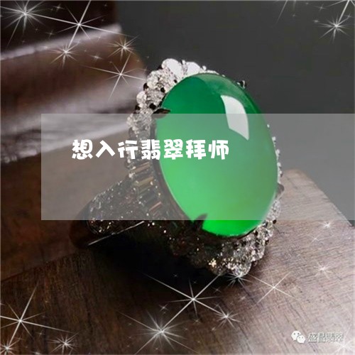 想入行翡翠拜师/2023040206049 想入行翡翠拜师/2023040206049