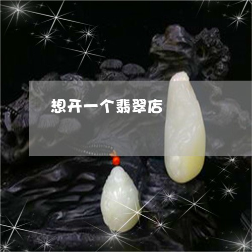想开一个翡翠店/2023040295959