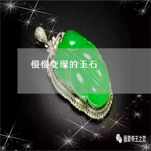 慢慢变绿的玉石/2023040208461 慢慢变绿的玉石/2023040208461