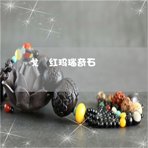 戈堃红玛瑙奇石/2023040261572