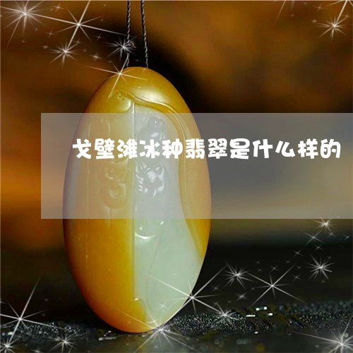 戈壁滩冰种翡翠是什么样的/2023061903160