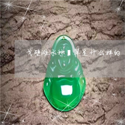 戈壁滩冰种翡翠是什么样的/2023062859262 戈壁滩冰种翡翠是什么样的/2023062859262