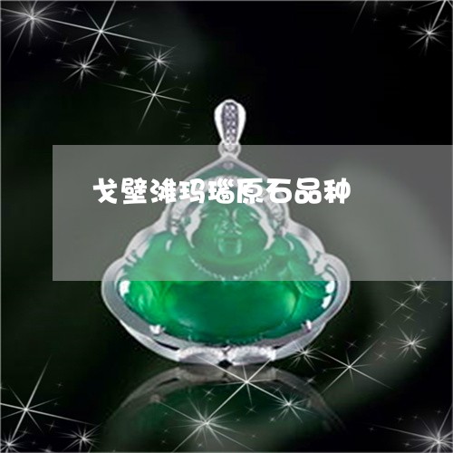 戈壁滩玛瑙原石品种