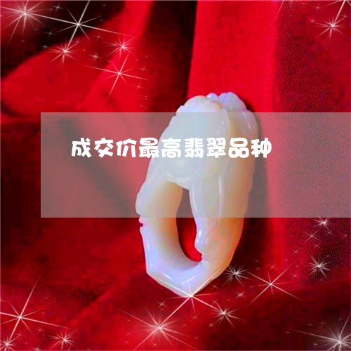 成交价最高翡翠品种 成交价最高翡翠品种