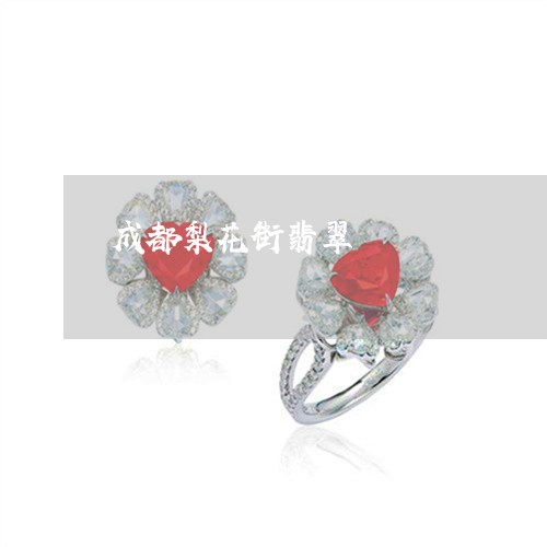 成都梨花街翡翠/2023040262895 成都梨花街翡翠/2023040262895