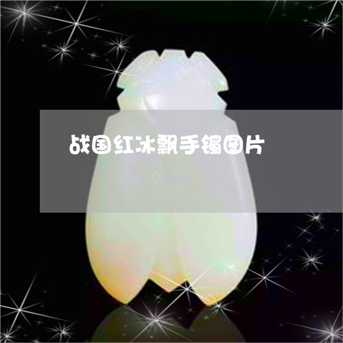 战国红冰飘手镯图片 战国红冰飘手镯图片