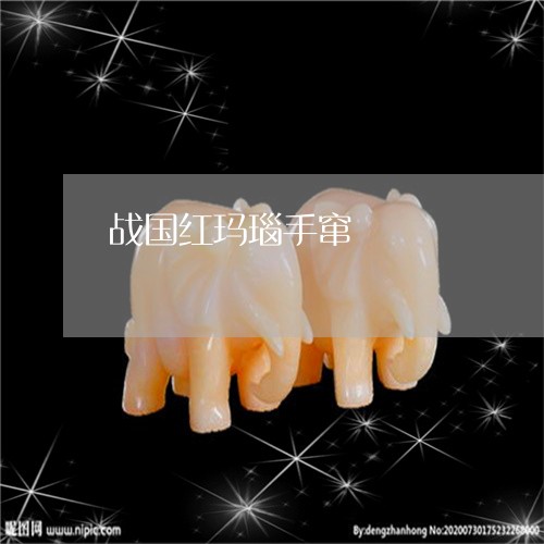 战国红玛瑙手窜/2023040115050