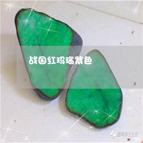 战国红玛瑙紫色/2023040260503