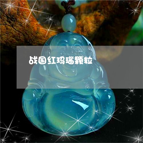 战国红玛瑙颗粒/2023040283625 战国红玛瑙颗粒/2023040283625