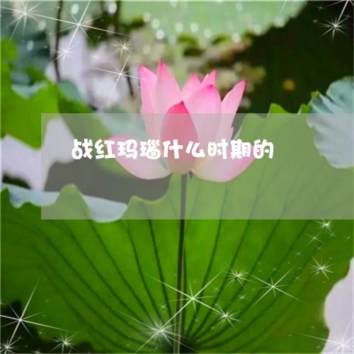 战红玛瑙什么时期的
