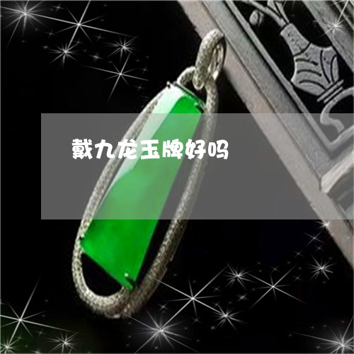 戴九龙玉牌好吗/2023040228058