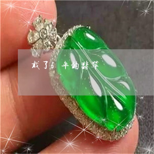 戴了5年的翡翠/2023040288271