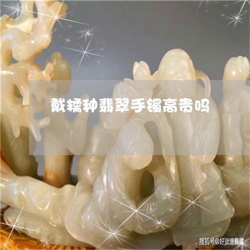戴糯种翡翠手镯高贵吗/2023022181474 戴糯种翡翠手镯高贵吗/2023022181474
