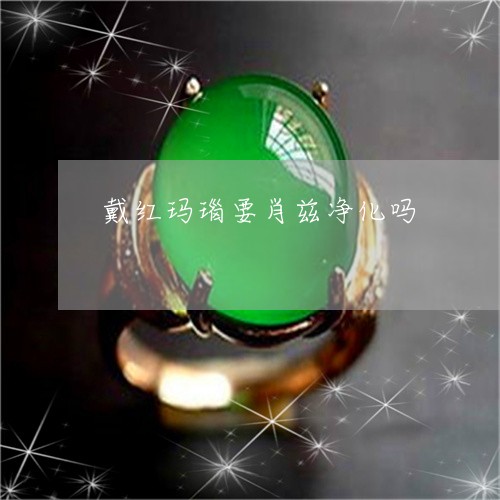 戴红玛瑙要肖兹净化吗/2023022164250 戴红玛瑙要肖兹净化吗/2023022164250