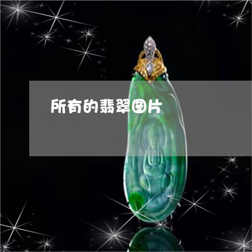 所有的翡翠图片/2023040272824