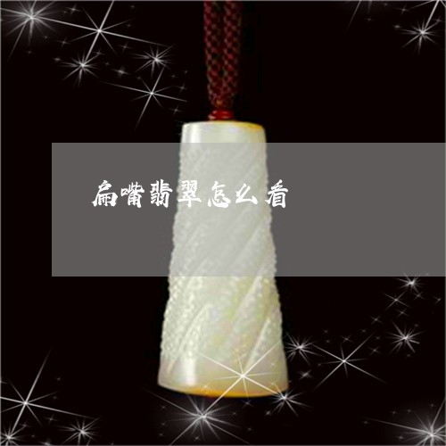 扁嘴翡翠怎么看/2023040252725 扁嘴翡翠怎么看/2023040252725