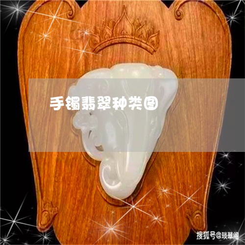 手镯翡翠种类图/2023040274615 手镯翡翠种类图/2023040274615