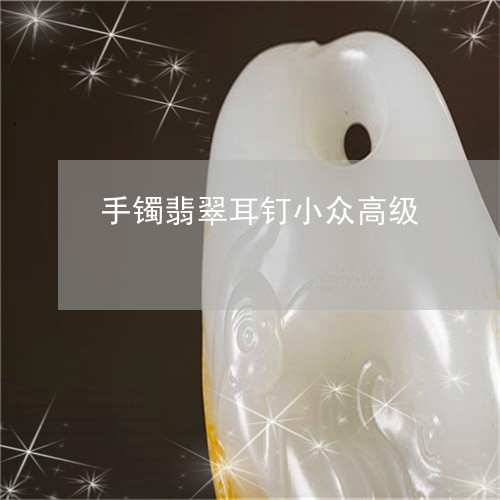 手镯翡翠耳钉小众高级/2023022120595