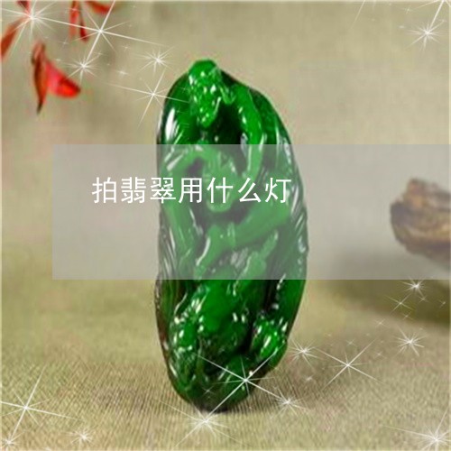 拍翡翠用什么灯/2023040289583 拍翡翠用什么灯/2023040289583