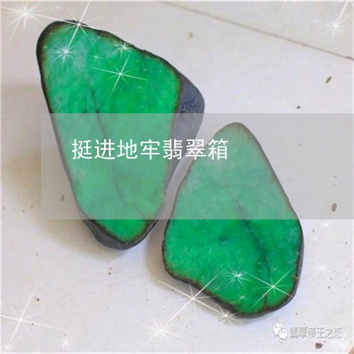 挺进地牢翡翠箱/2023040234826 挺进地牢翡翠箱/2023040234826