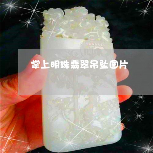 掌上明珠翡翠吊坠图片/2023022117795
