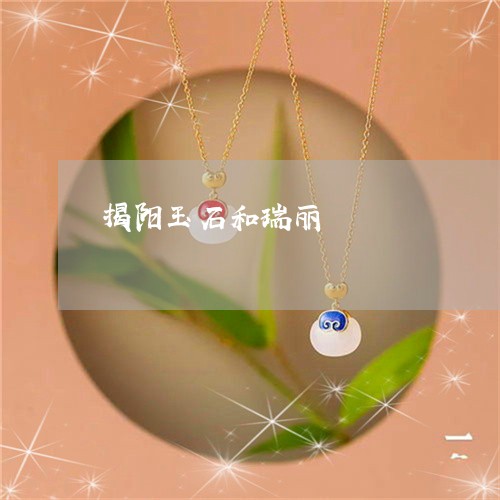 揭阳玉石和瑞丽/2023040273027 揭阳玉石和瑞丽/2023040273027