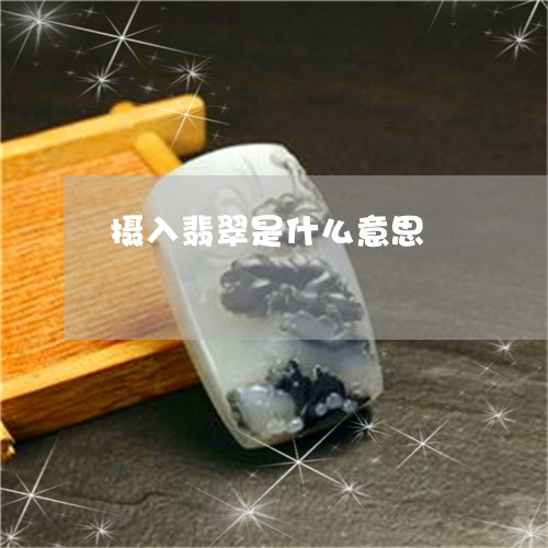 摄入翡翠是什么意思 摄入翡翠是什么意思