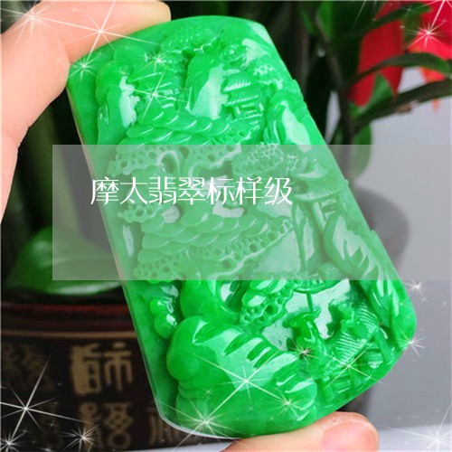 摩太翡翠标样级/2023040250586