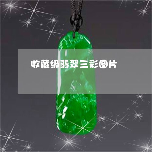 收藏级翡翠三彩图片 收藏级翡翠三彩图片