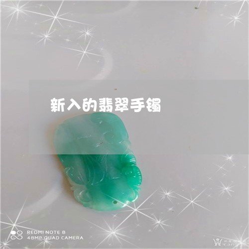 新入的翡翠手镯/2023040234037
