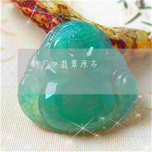 新厂口翡翠原石/2023040253737
