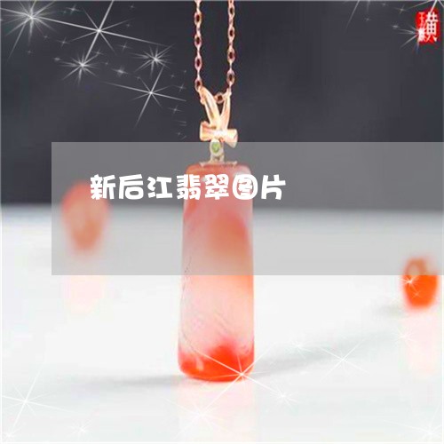 新后江翡翠图片/2023040286841