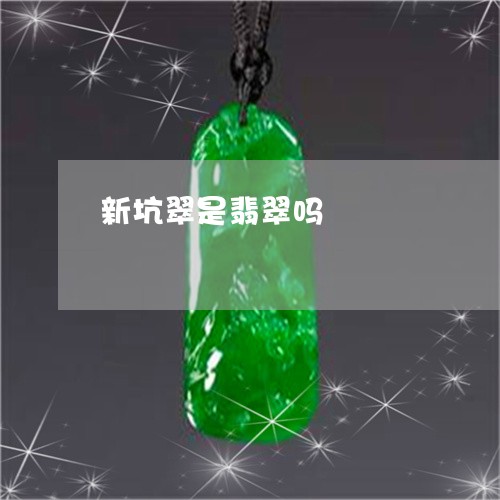 新坑翠是翡翠吗/2023040271684