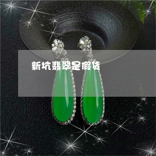新坑翡翠是假货/2023040227069 新坑翡翠是假货/2023040227069