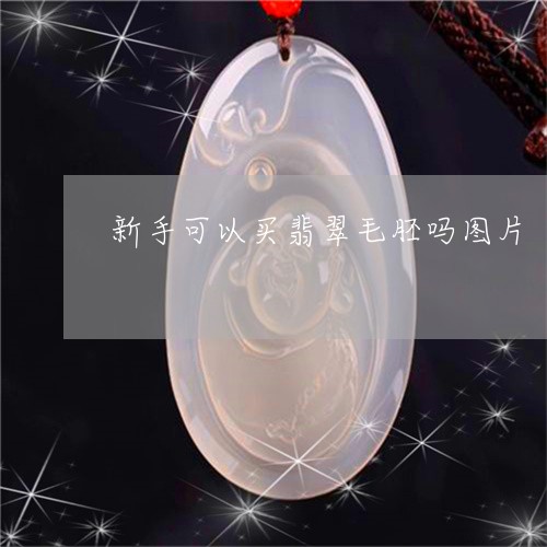 新手可以买翡翠毛胚吗图片/2023061909381