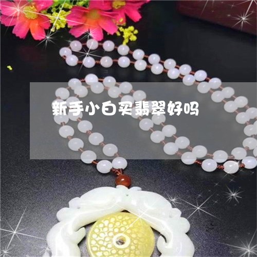 新手小白买翡翠好吗
