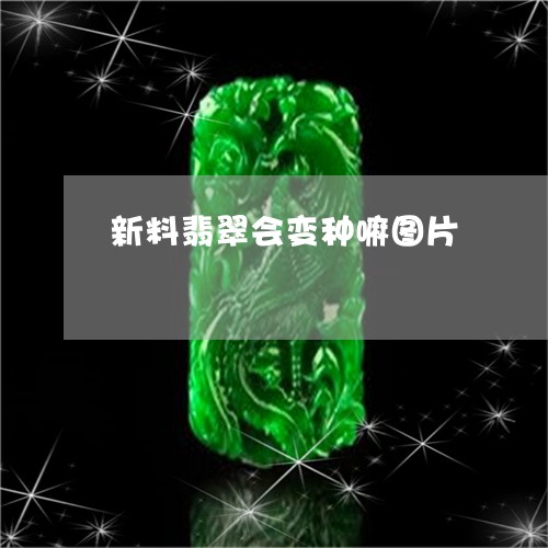 新料翡翠会变种嘛图片/2023061791793