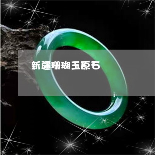 新疆珊瑚玉原石/2023040207068