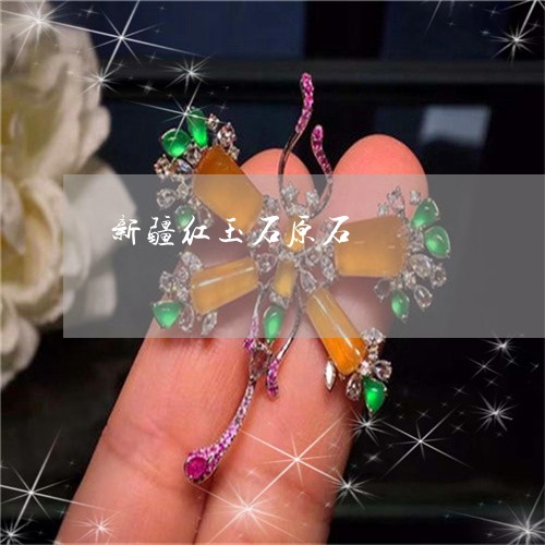 新疆红玉石原石/2023040290383 新疆红玉石原石/2023040290383